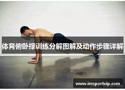 体育俯卧撑训练分解图解及动作步骤详解